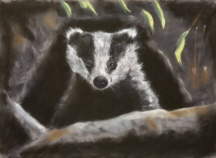 'Emerging (badger)' by Kevin Adams