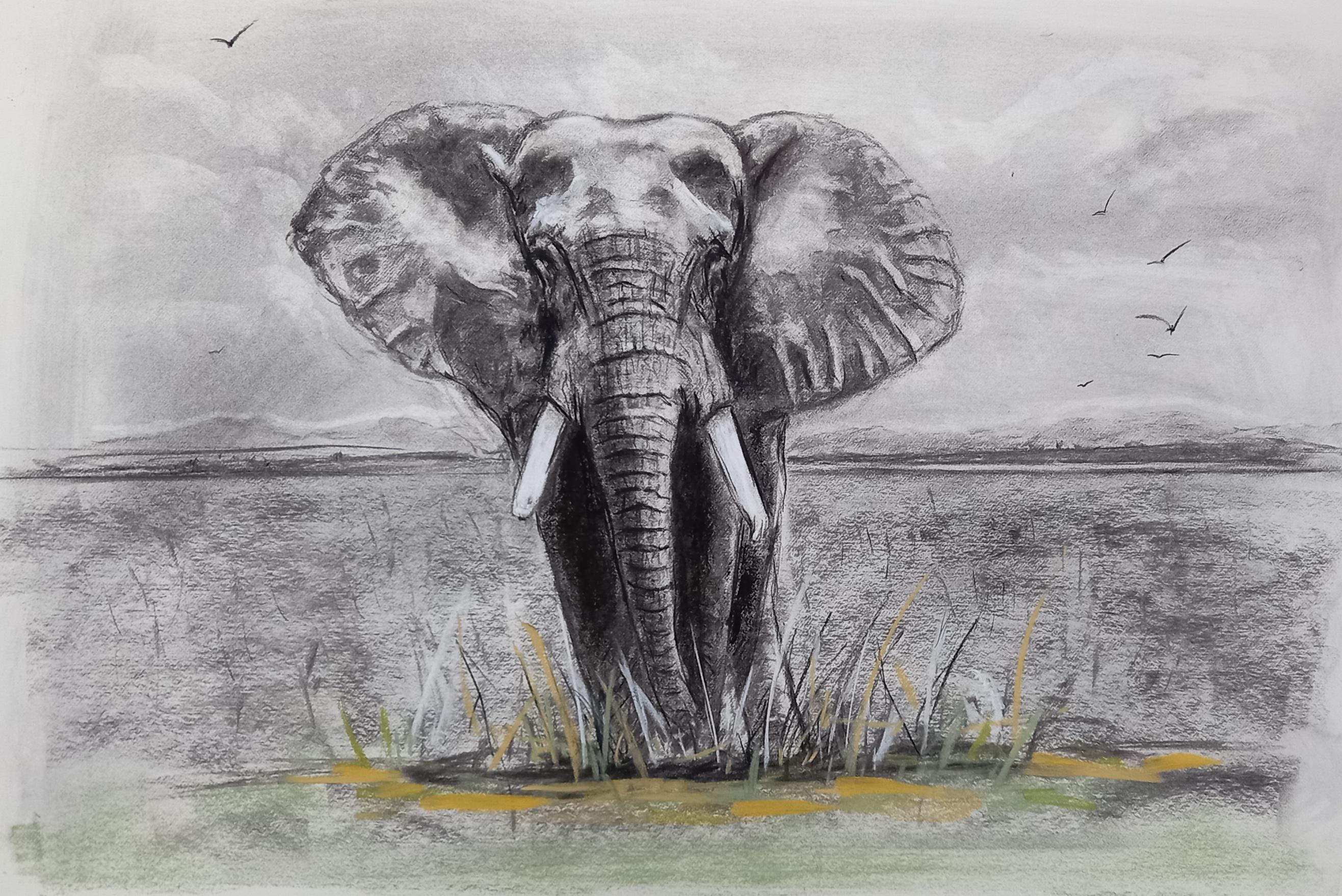'Lone Elephant' by Kevin Adams